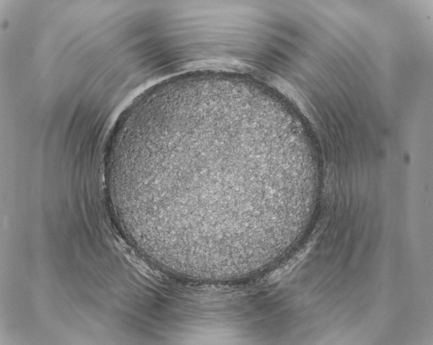 X0000088020923200706011320