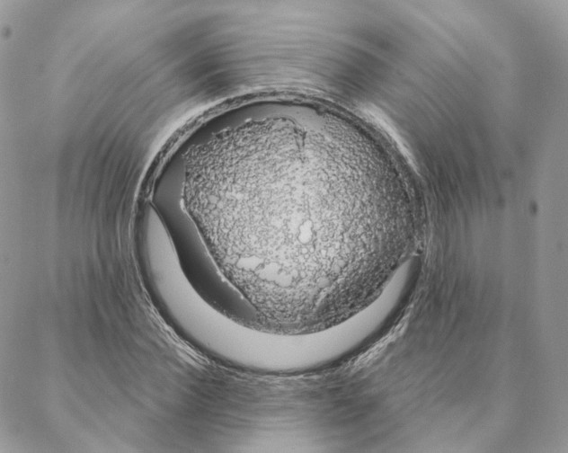 X0000088020924200706011320