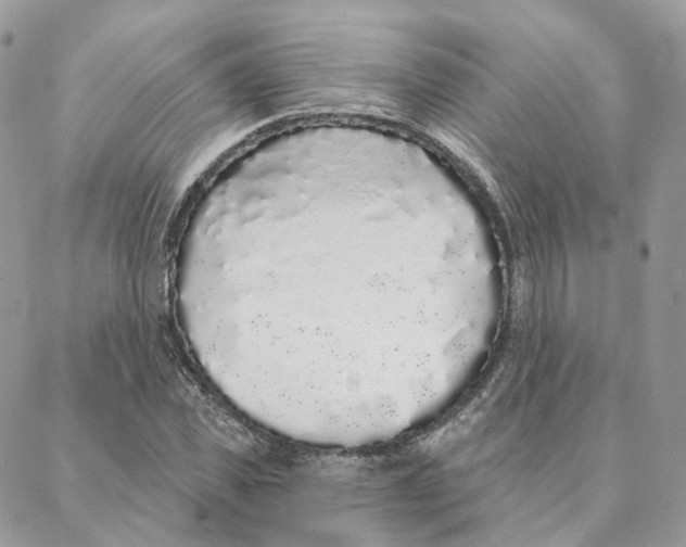 X0000088020925200706011320