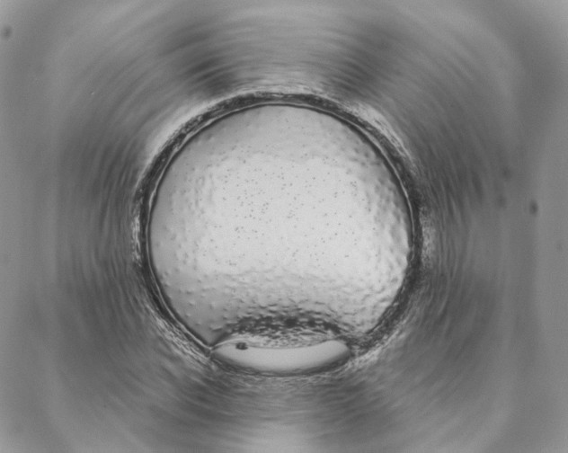 X0000088020926200706011320