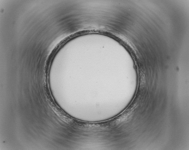 X0000088020927200706011320