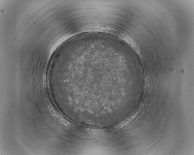 X0000088020928200706011320