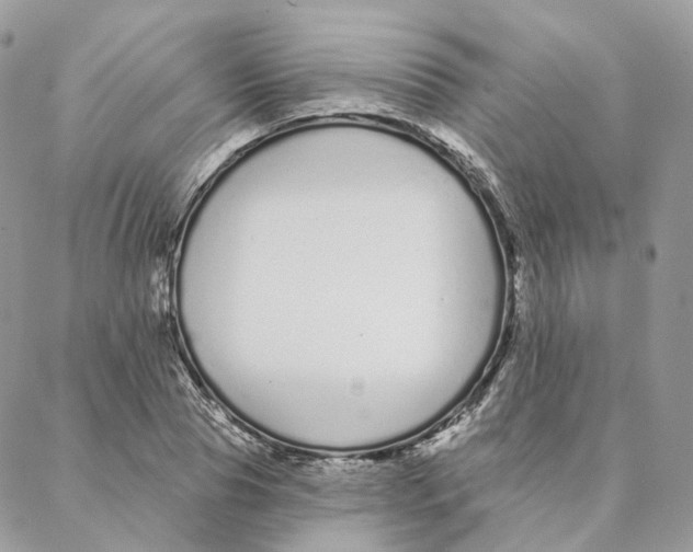 X0000088020929200706011320