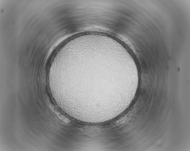 X0000088020931200706011320