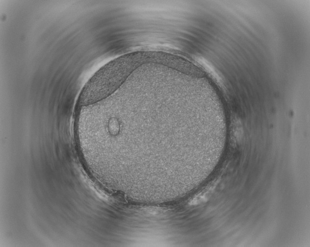 X0000088020932200706011320