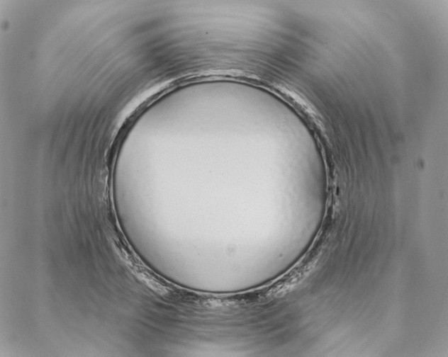 X0000088020933200706011320