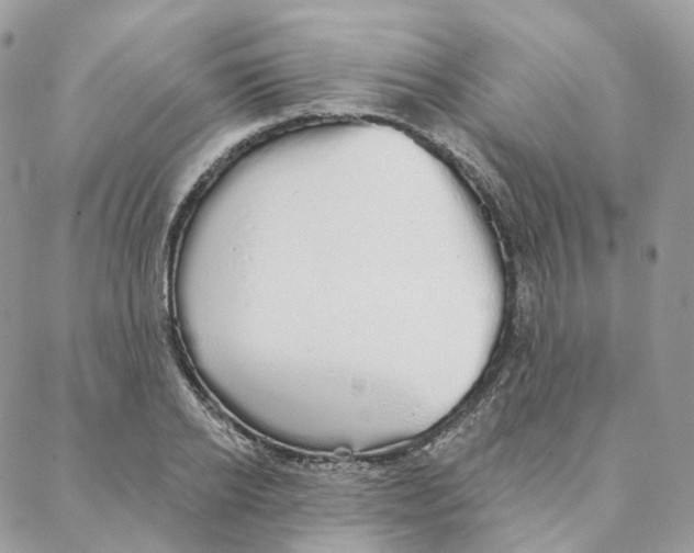 X0000088020934200706011321