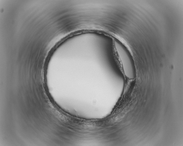 X0000088020935200706011321