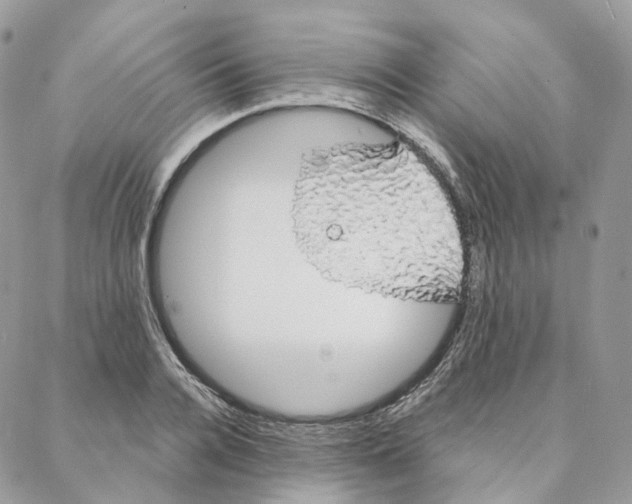 X0000088020936200706011321