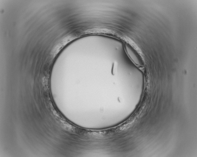 X0000088020937200706011321