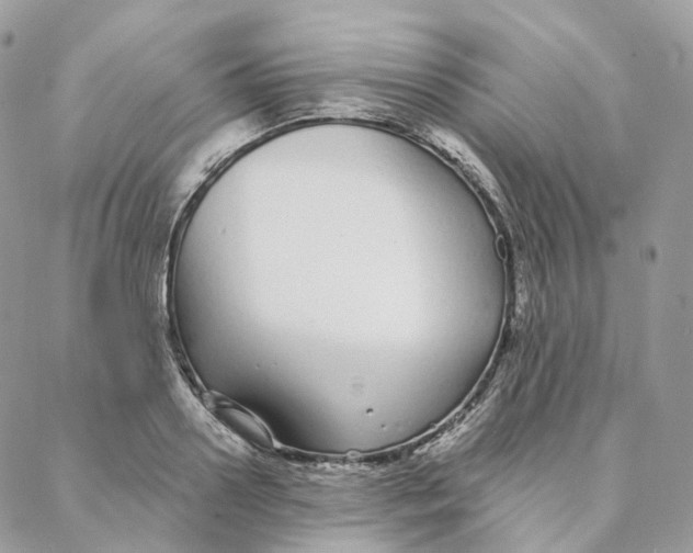 X0000088020938200706011321