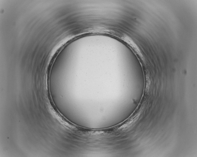 X0000088020939200706011321