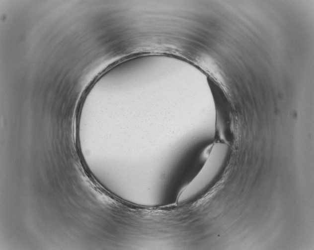 X0000088020940200706011321