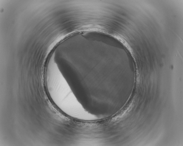 X0000088020941200706011321