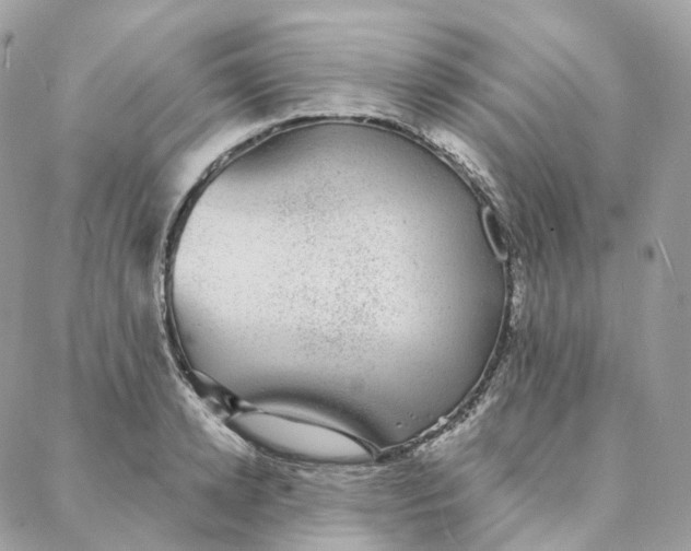 X0000088020942200706011321