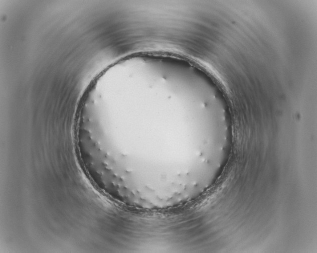 X0000088020943200706011321