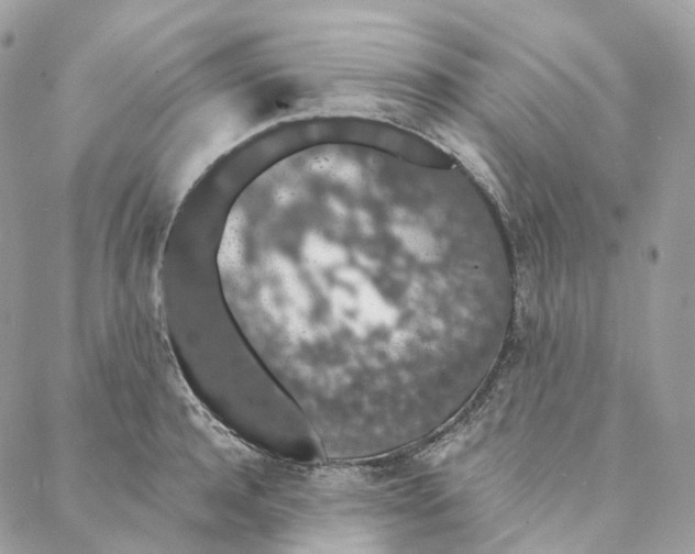 X0000088020944200706011321