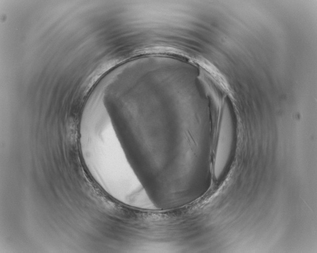 X0000088020945200706011321