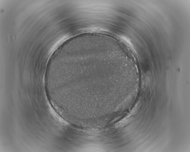 X0000088020946200706011321