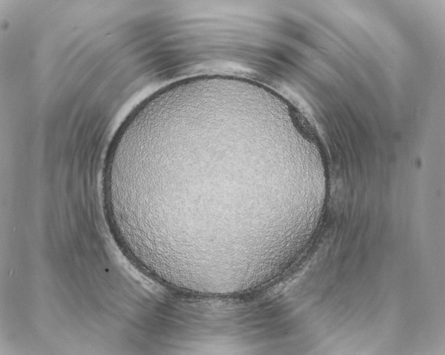 X0000088020947200706011321