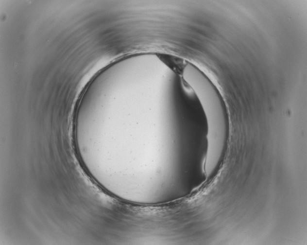 X0000088020949200706011321