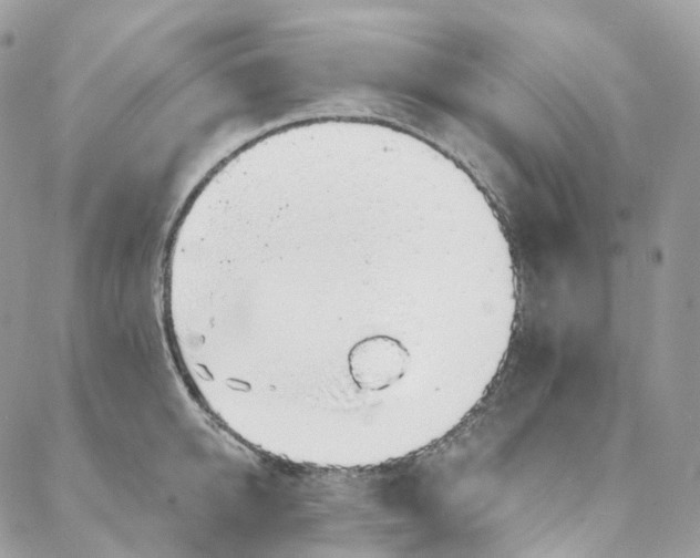 X0000088020950200706011321