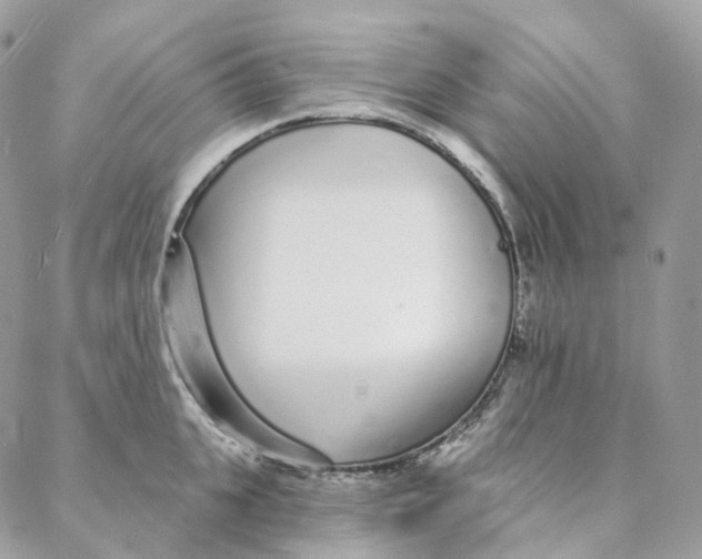 X0000088020951200706011321