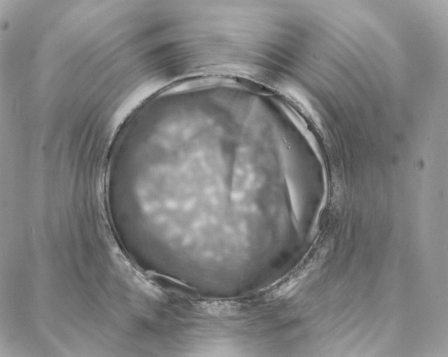 X0000088020952200706011321