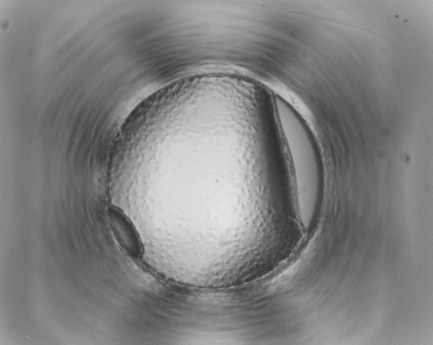 X0000088020953200706011321