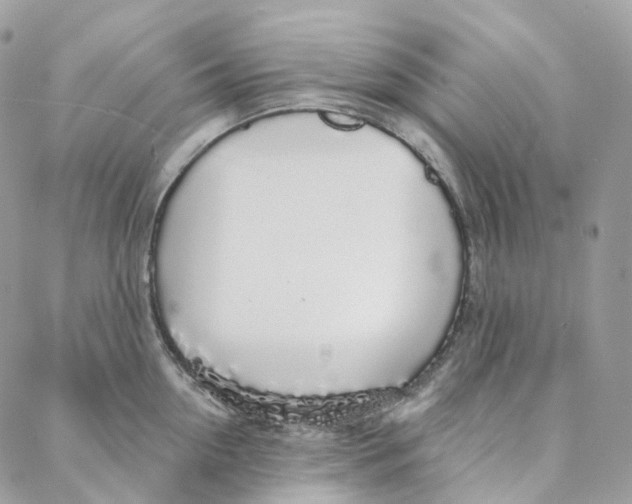 X0000088020954200706011321