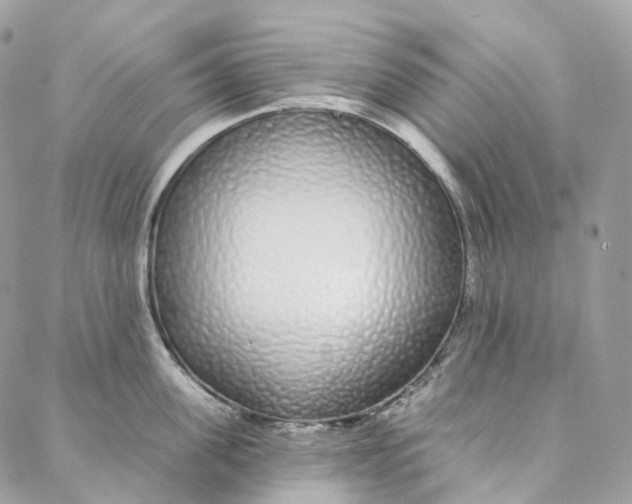 X0000088020955200706011321