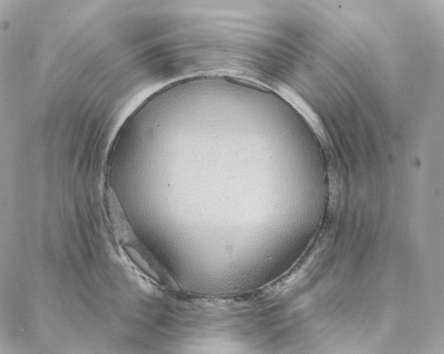 X0000088020956200706011321