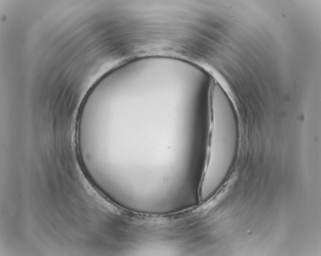 X0000088020957200706011321