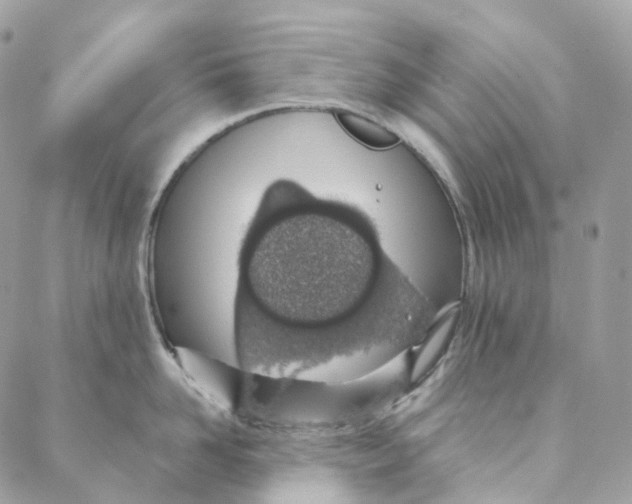 X0000088020958200706011321