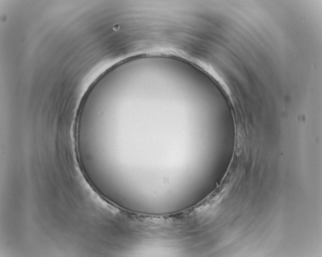 X0000088020959200706011321