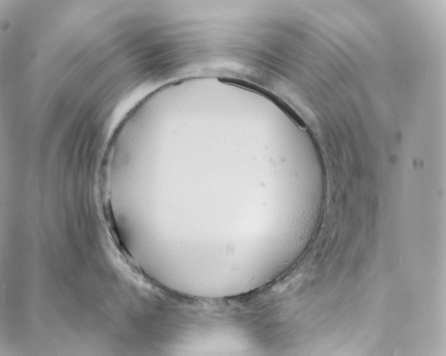 X0000088020960200706011321