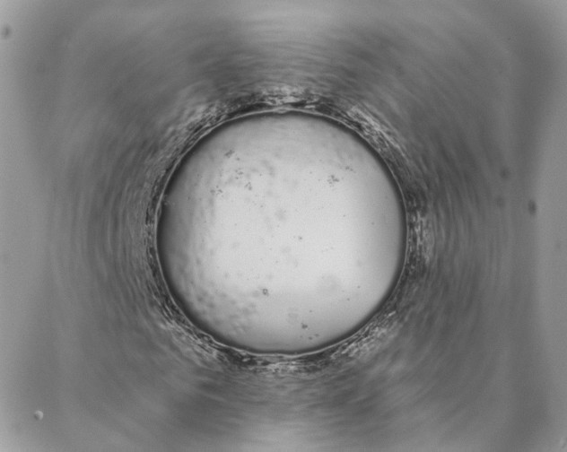 X0000088020961200706011320