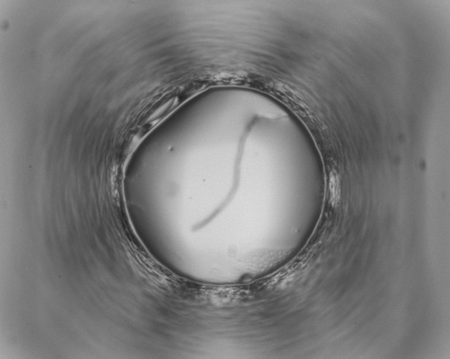 X0000088020963200706011320