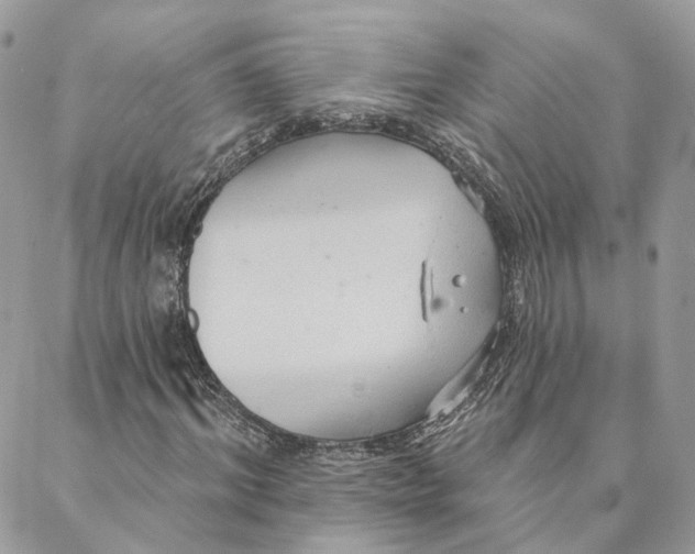 X0000088020964200706011320