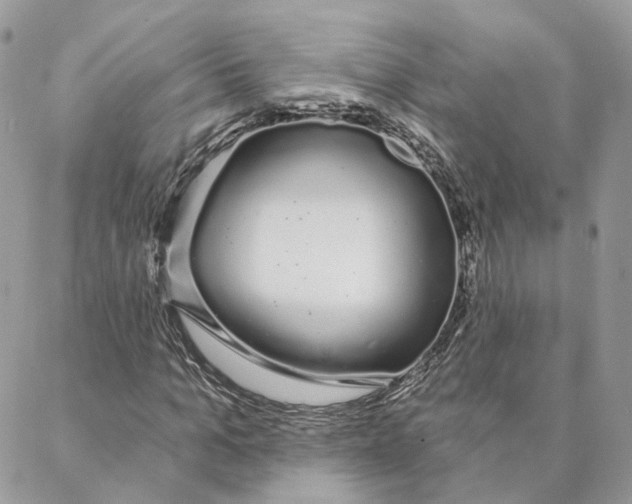 X0000088020965200706011320