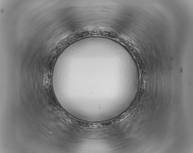 X0000088020966200706011320