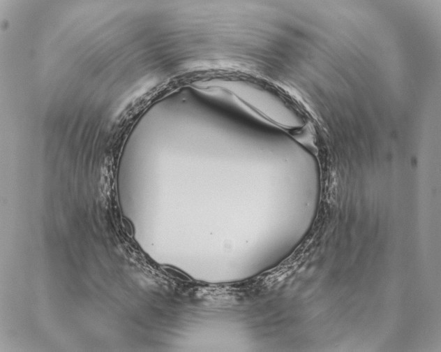 X0000088020967200706011320