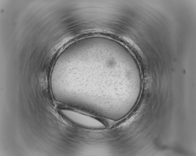 X0000088020969200706011320