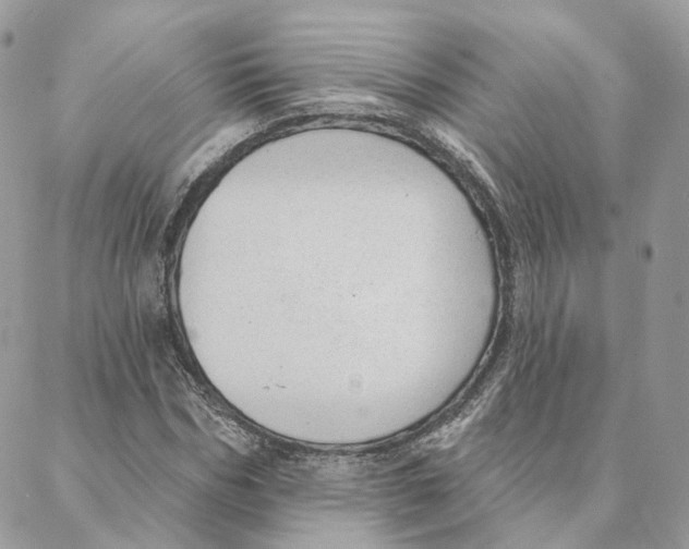 X0000088020970200706011320