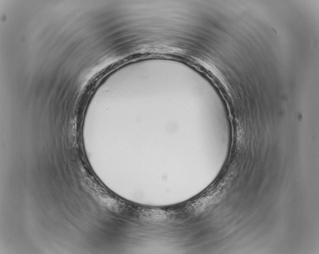 X0000088020971200706011320