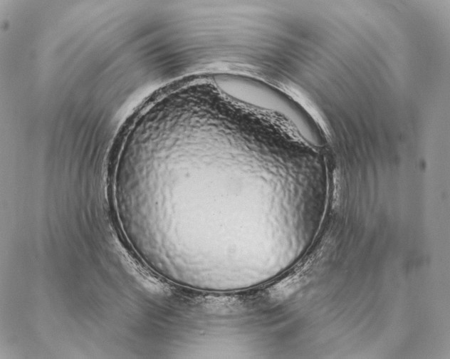 X0000088020972200706011320