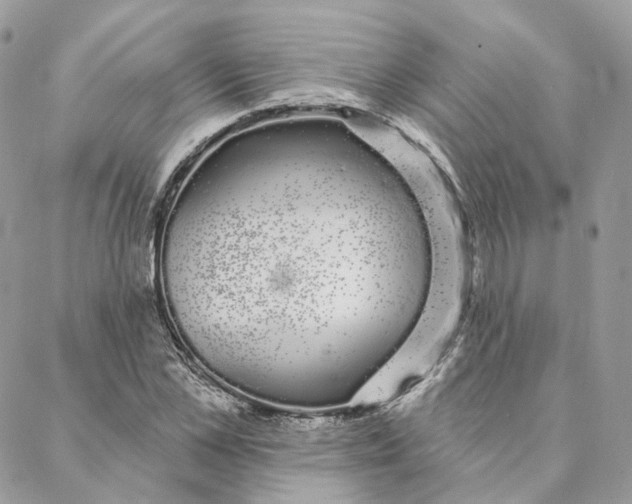 X0000088020973200706011320