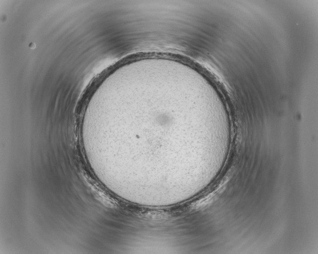 X0000088020974200706011320