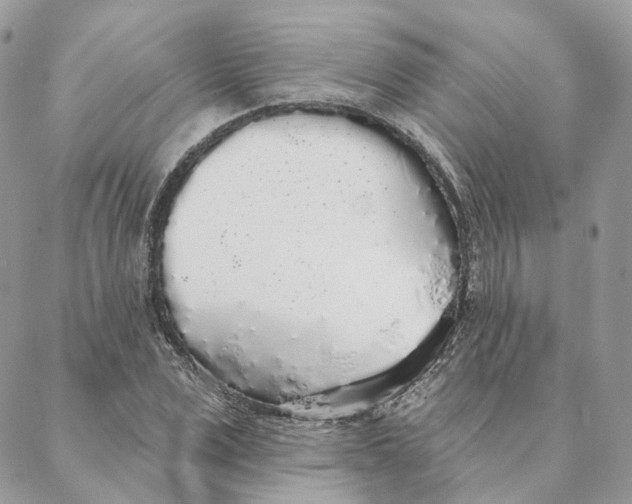 X0000088020975200706011320