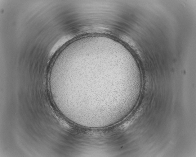 X0000088020978200706011320